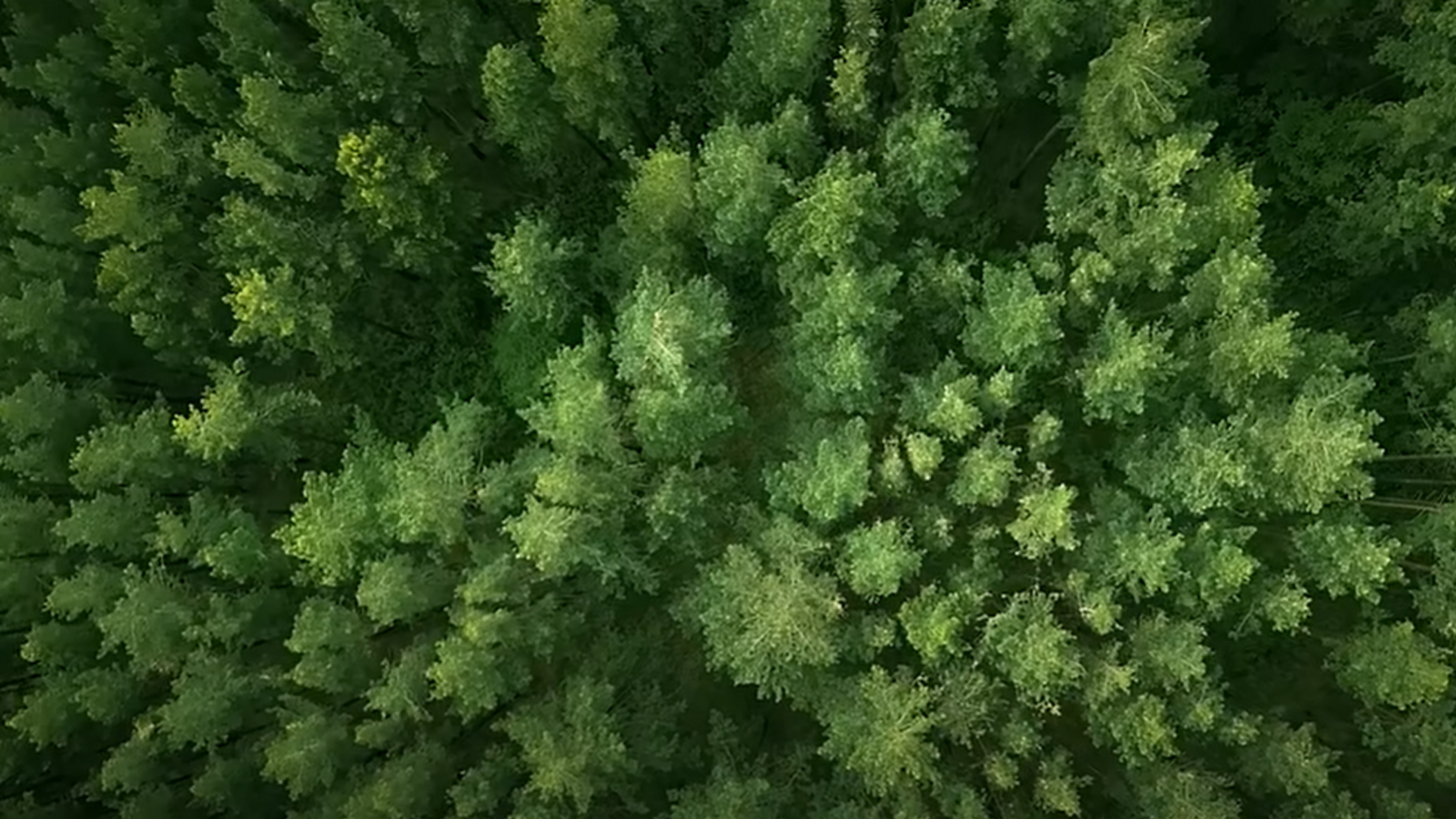 銳志機械全新愿景宣傳片《通過創新解決方案，賦能更綠色的未來》