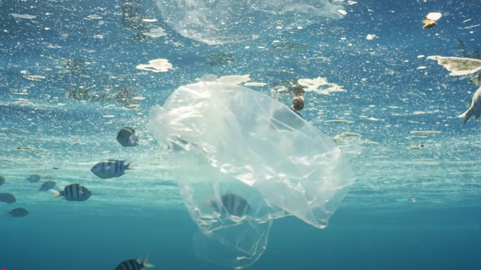 銳志機械《攜手邁向更綠色的未來》