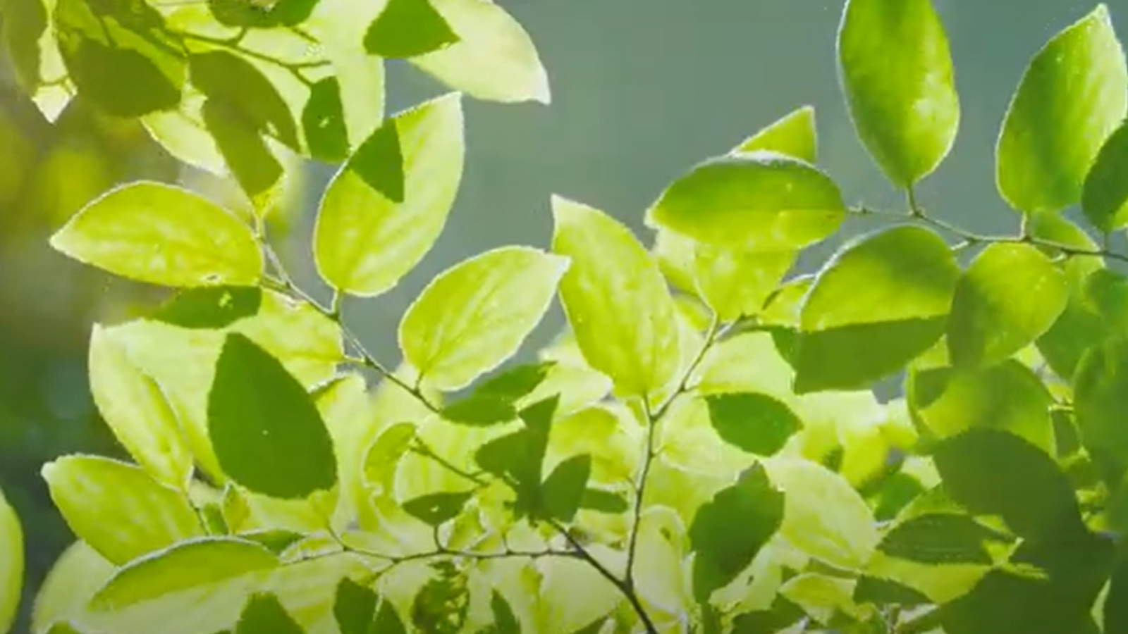 銳志機械正以綠色智造重塑產業未來：《賦能選擇，推動可持續發展》