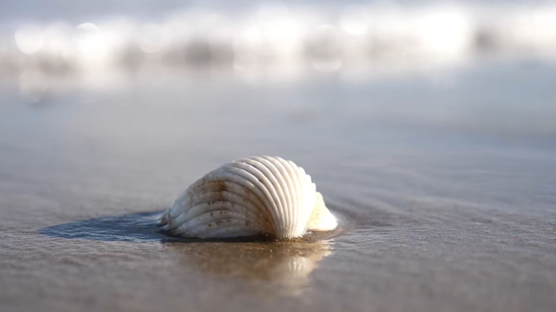 銳志機械｜為工業而生的環保解決方案